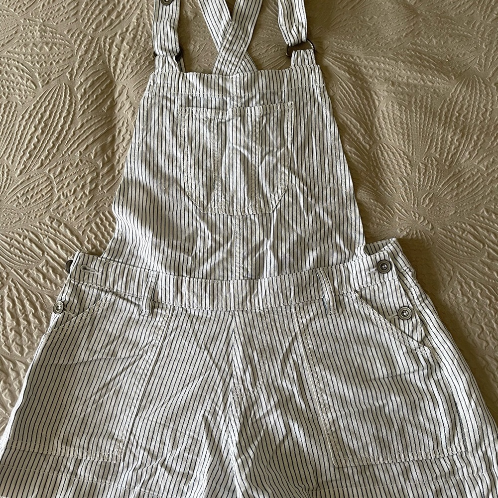 NWT Wallflower Pinstripe Overalls